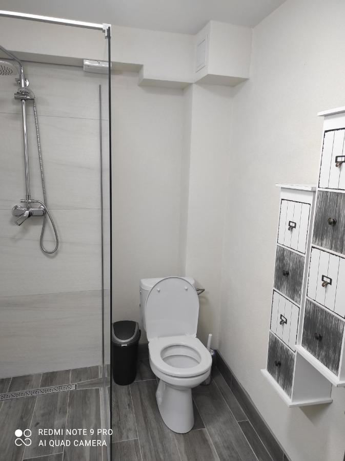 Cozy Loft Apartament Sighetu Marmatiei Ngoại thất bức ảnh