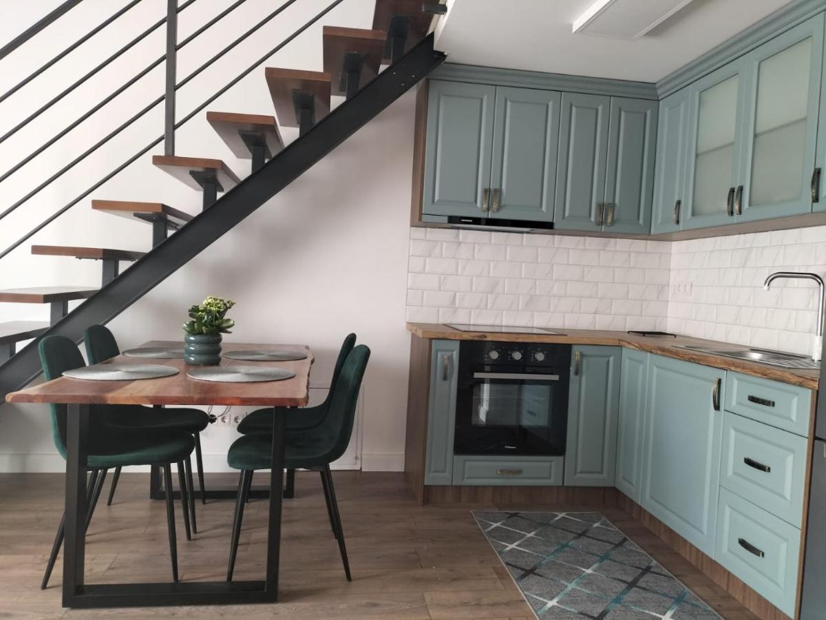 Cozy Loft Apartament Sighetu Marmatiei Ngoại thất bức ảnh