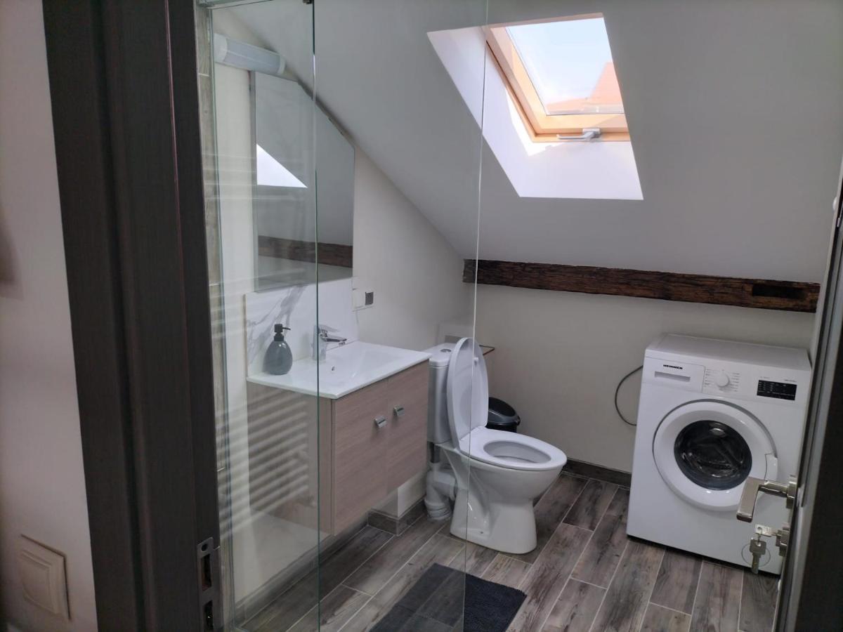 Cozy Loft Apartament Sighetu Marmatiei Ngoại thất bức ảnh